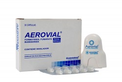 Aerovial 6 / 200 mcg Caja Con 30 Cápsulas Con Inhalador Rx4 Rx1