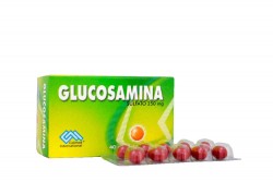 Glucosamina 250 mg Caja Con 40 Cápsulas