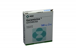 Garamicina Inyectable 160 mg / 2 mL Caja Con 5 Ampollas Rx