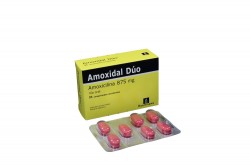 Amoxidal Dúo 875 mg Caja Con 21 Comprimidos Recubiertos Rx2