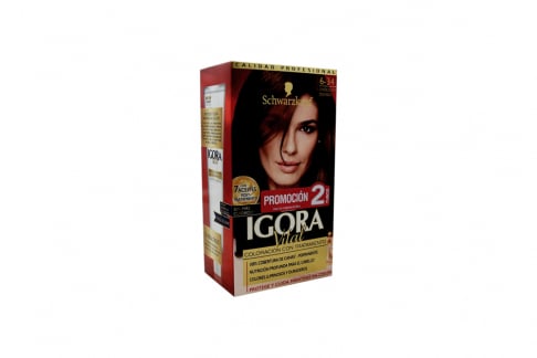Tinte Igora Vital 6-34 Chocolate Dorado Caja Con 1 Kit Con 2 Tubos