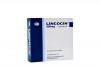 Lincocin 600 mg / 2 mL Solución Inyectable Caja Con 6 Ampollas Rx Rx2