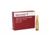 Quercetol Solución Inyectable 250 mg / 2 mL Siegfried Caja Con 5 Ampollas  Rx