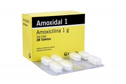 Amoxidal 1.0 g Caja Con 28 Tabletas Rx Rx2