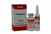 Ceftriaxona 1 g Caja Con 1 Frasco Vial + Ampolla Con 10 mL Inyectable RX2