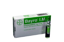 Bayro I.M. 1 g Caja x 1 Ampolla 2 mL Rx