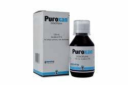 Puroxan Jarabe 2 % Caja Con Frasco Con 120 mL Rx