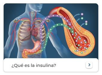 Que es la insulina